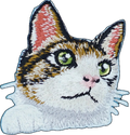 Tabby Cat