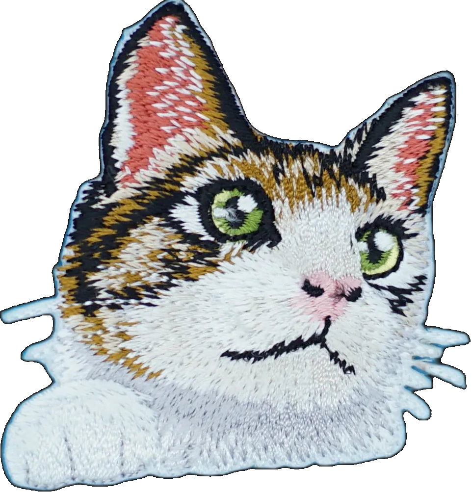 Tabby Cat