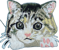 Tabby Kitten