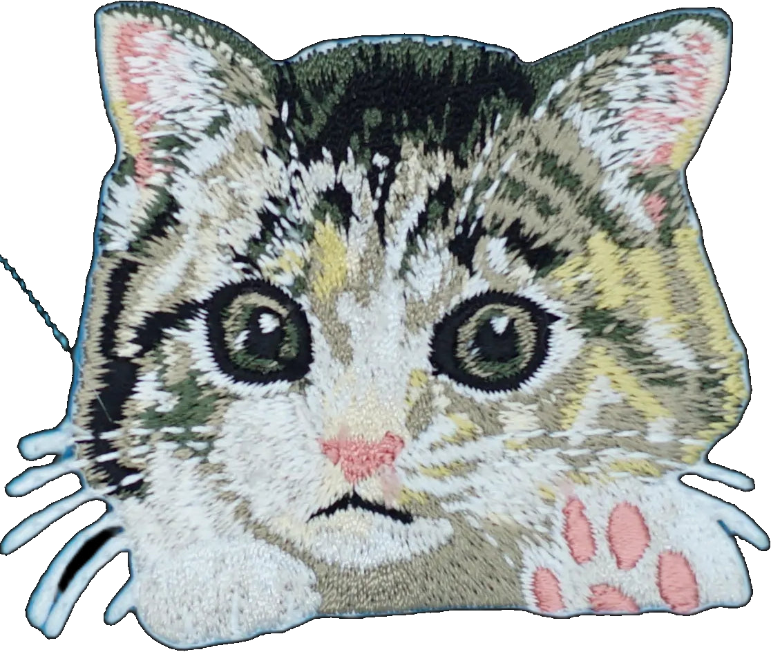 Tabby Kitten