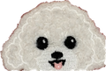 Fluffy white smiling dog face patch with pink tongue
